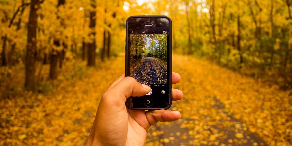 Regeln für gute Handy-Fotografie